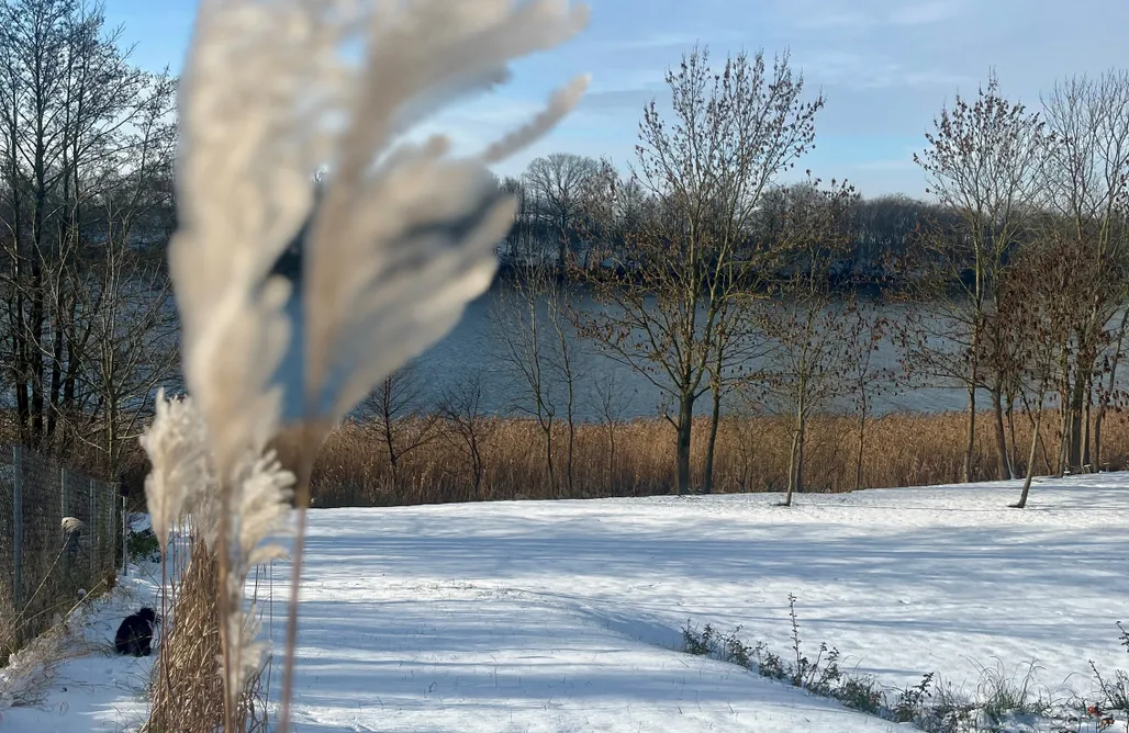 alojamientos AlohaCamp Dobre 23J 4