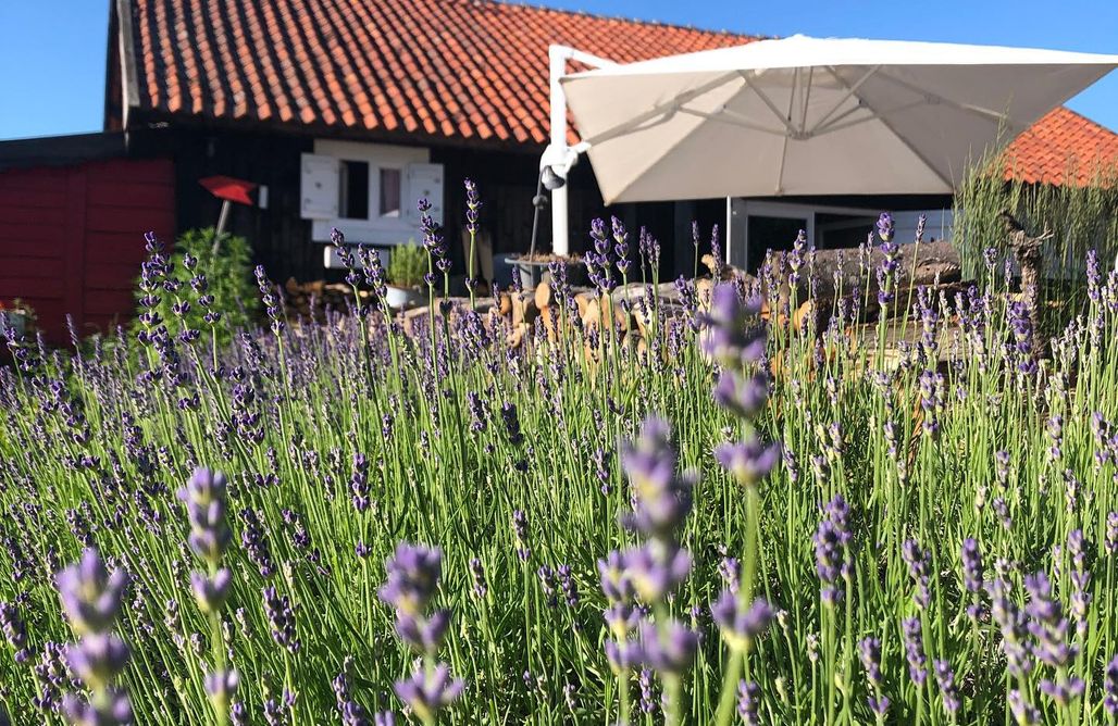 Pole Namiotowe Mikołajki Miejsce kamperowe - Siedlisko Blanki 2