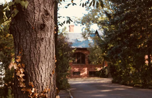 Imagen de La Casa Gran