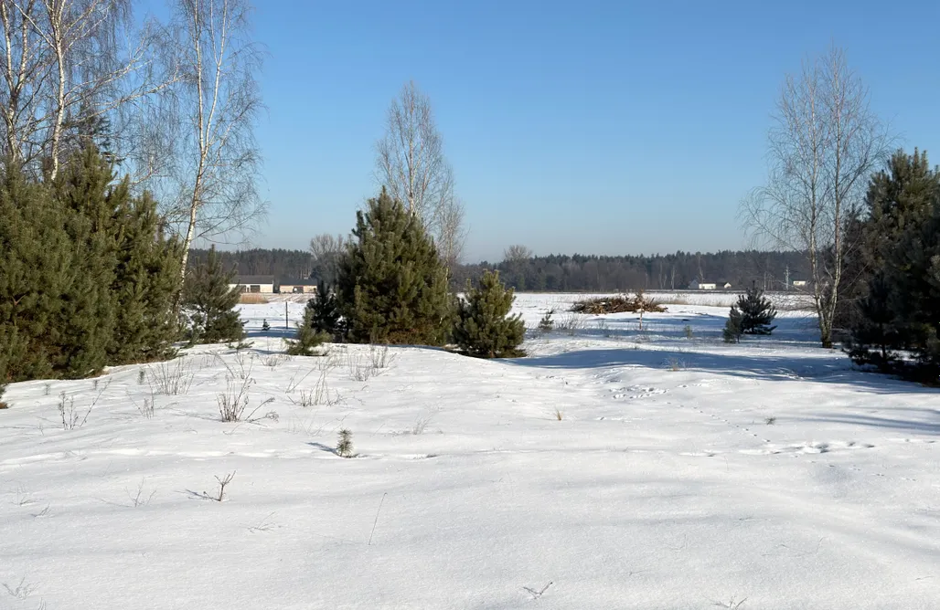 ubytování AlohaCamp Leśna Ostoja-domek z prywatną sauną i balią w ogrodzie  1