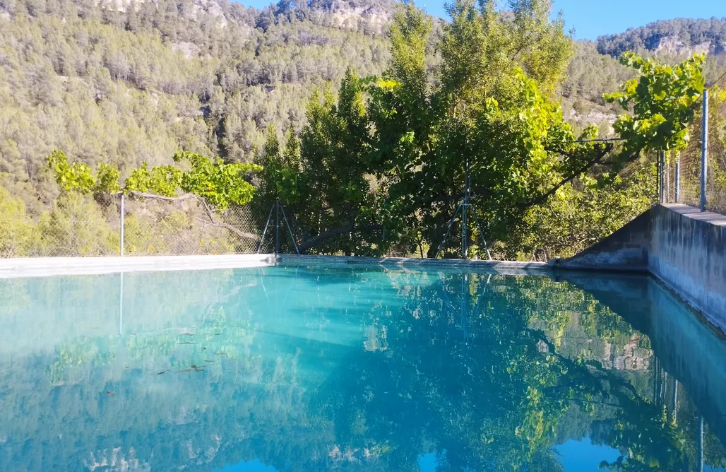 AlohaCamp Las Selvas 4