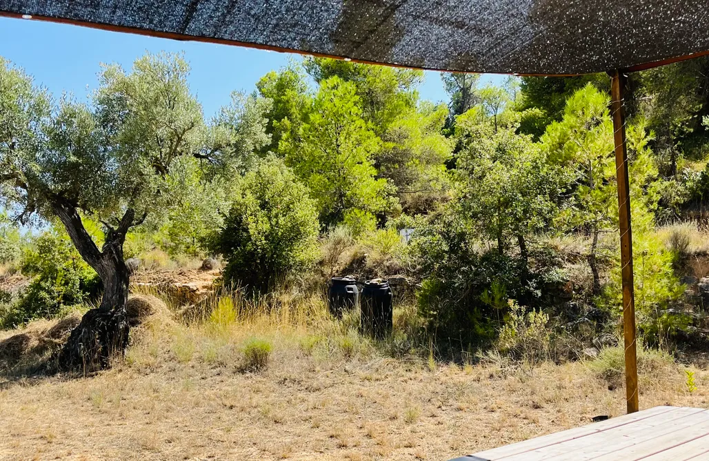 alojamientos AlohaCamp Cabaña Ganesha – Refugio de Madera en Kurkum Farm 1