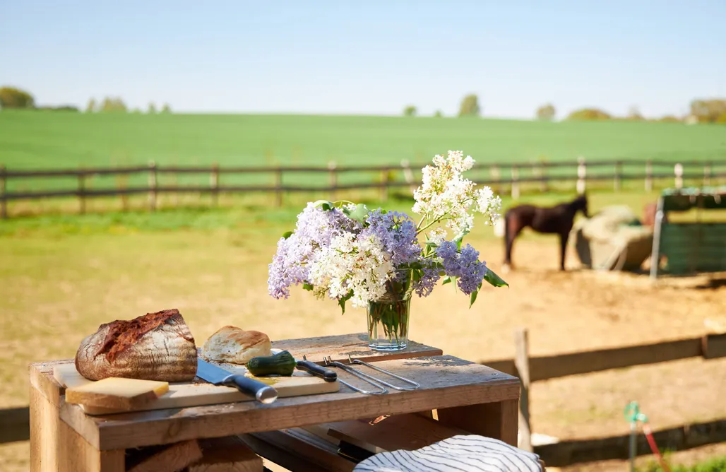 noclegi AlohaCamp Jurte am Feld 5