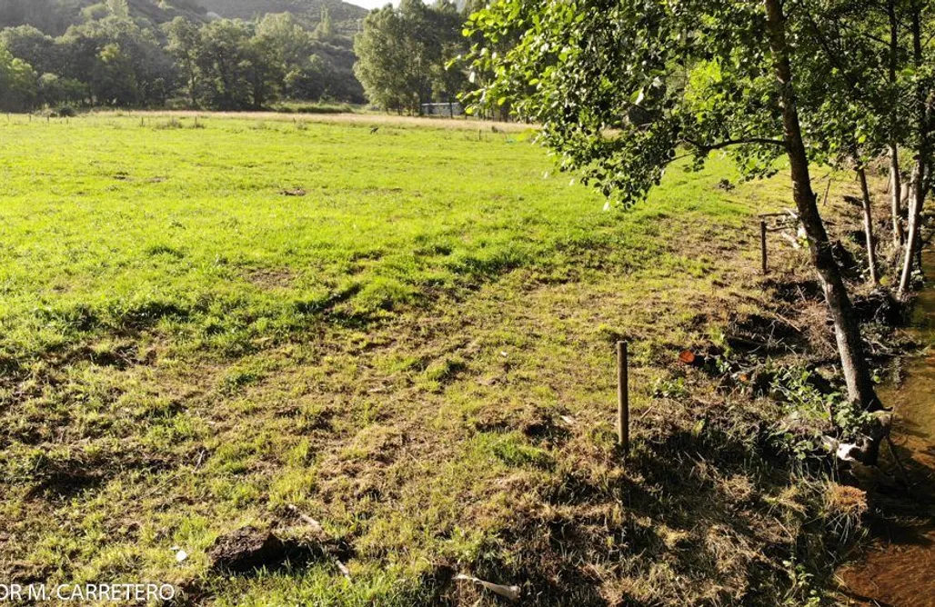 Campings Murcia Camping Valle do Seo - Camper 1