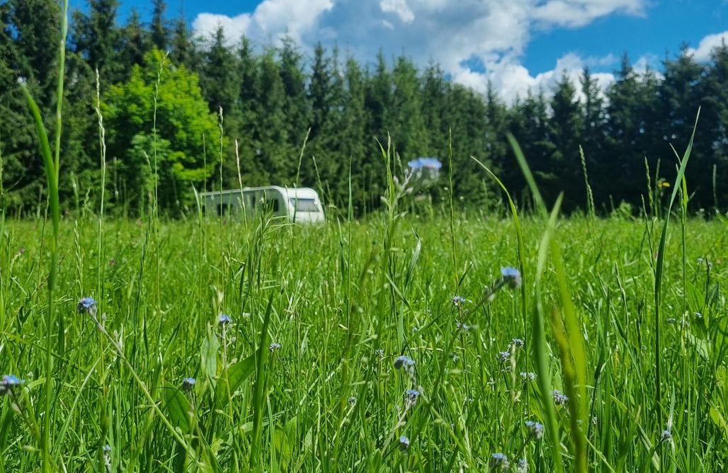 AlohaCamp Kamperowisko Leleszki 2