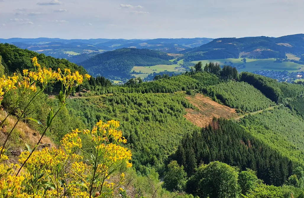 noclegi AlohaCamp Blockhaus BergesGlück 1 1