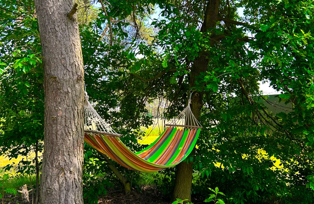 Potasznia noclegi Domek pod lasem w Wielkopolsce 1