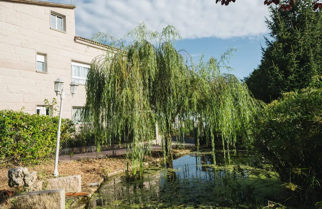 Hébergement AlohaCamp Casa de campo Alborada - Ribeira Sacra 1