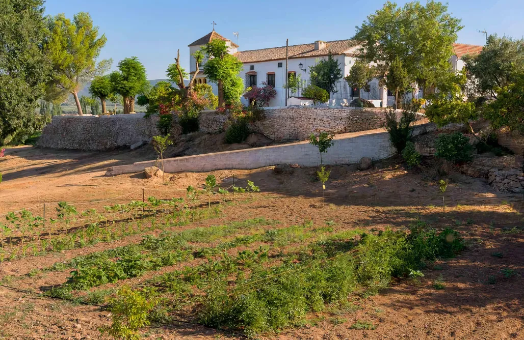 alojamientos AlohaCamp Apartamentos Turísticos La Teja 2