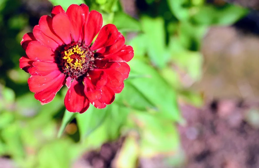 noclegi AlohaCamp Uroczysko Lubiaszów 1