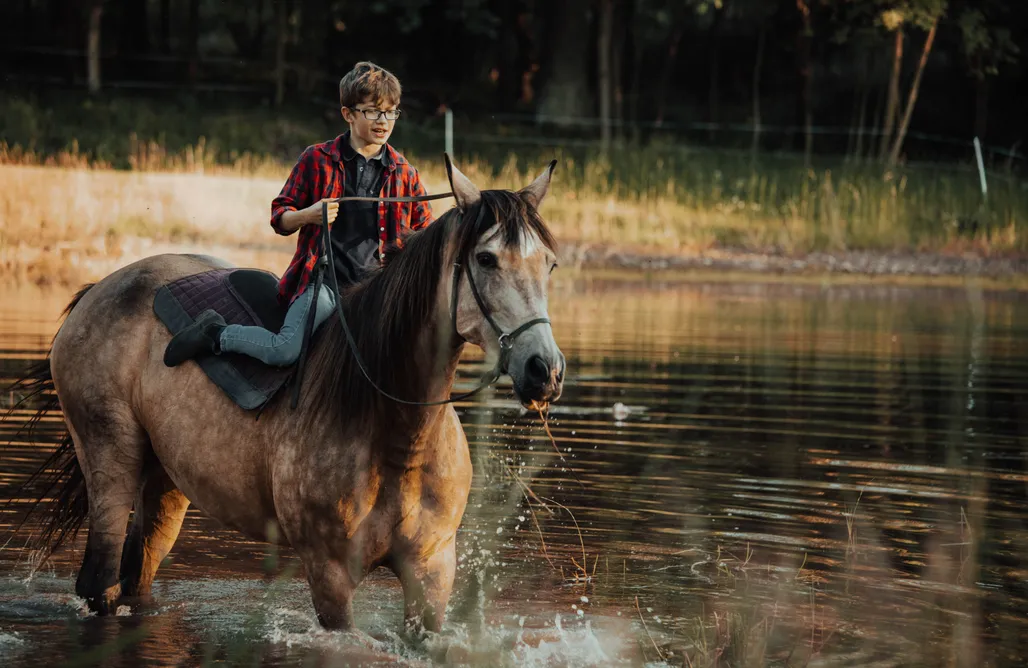 Lubomin Domki Agro Pustelnik - Domek Kuźnia 1