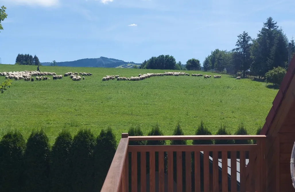 AlohaCamp accommodaties Lawendowe Wzgórze 21 dom z jacuzzi na wyłączność

 5