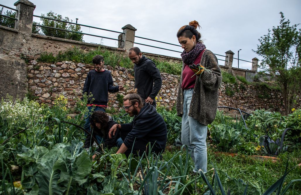 alojamientos AlohaCamp MolinoLab - Arte, Naturaleza y Tecnología 5