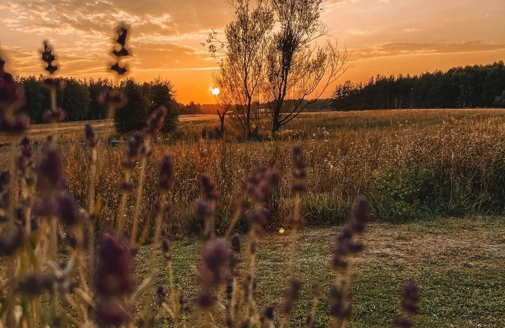 Wczasy z psem nad morzem Moje Miejsce na Ziemi 3