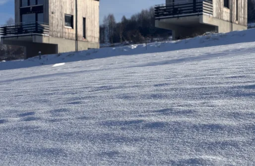 Zdjęcie obiektu kurza łapka 