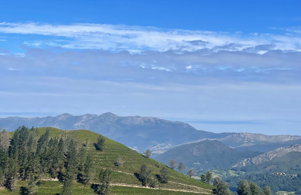 Alloggio AlohaCamp Vete Polo Segau 1