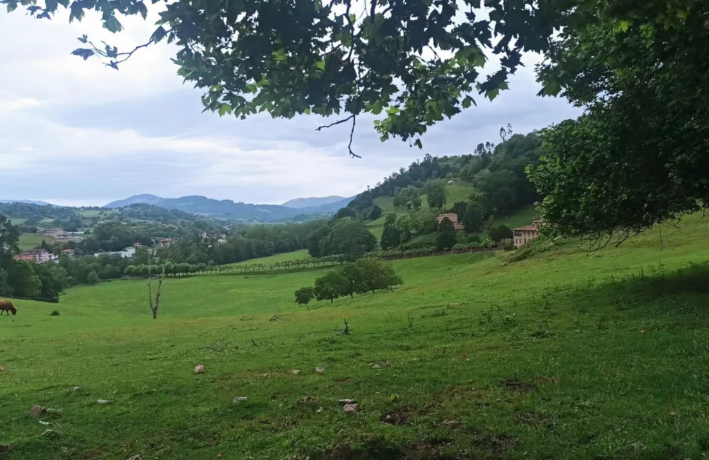 alojamientos AlohaCamp La Collada 1