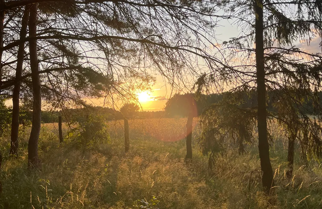 AlohaCamp accommodation Boguszynek 1