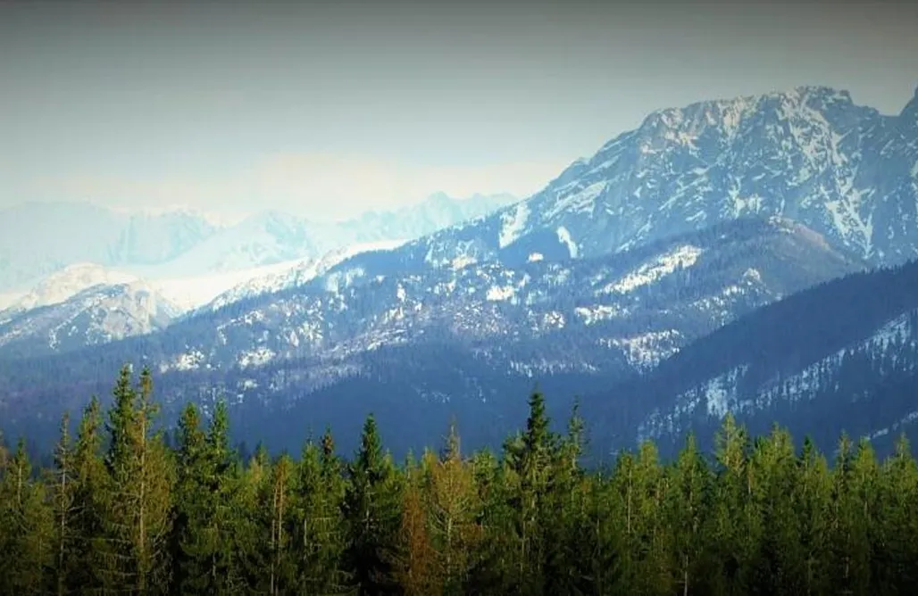 Unterkunft AlohaCamp Dziko Hanka 1