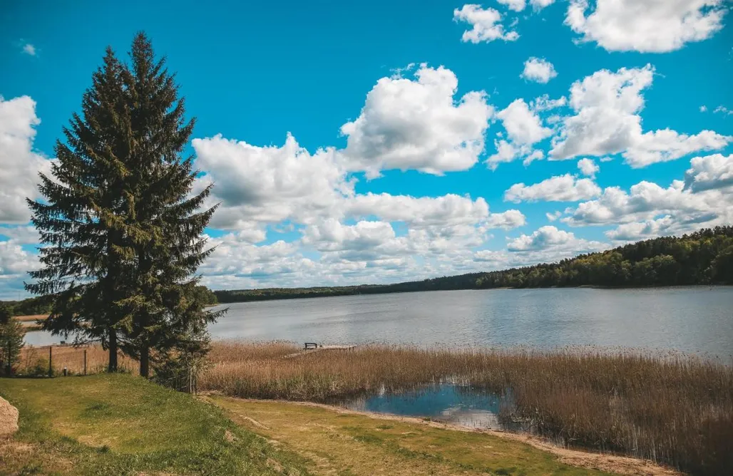 Hébergement AlohaCamp Zapach Drewna 5