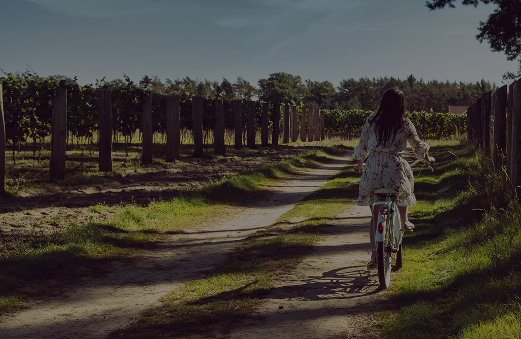 Alloggi AlohaCamp Apartamenty w Winnicy | Winnica Milsko 4