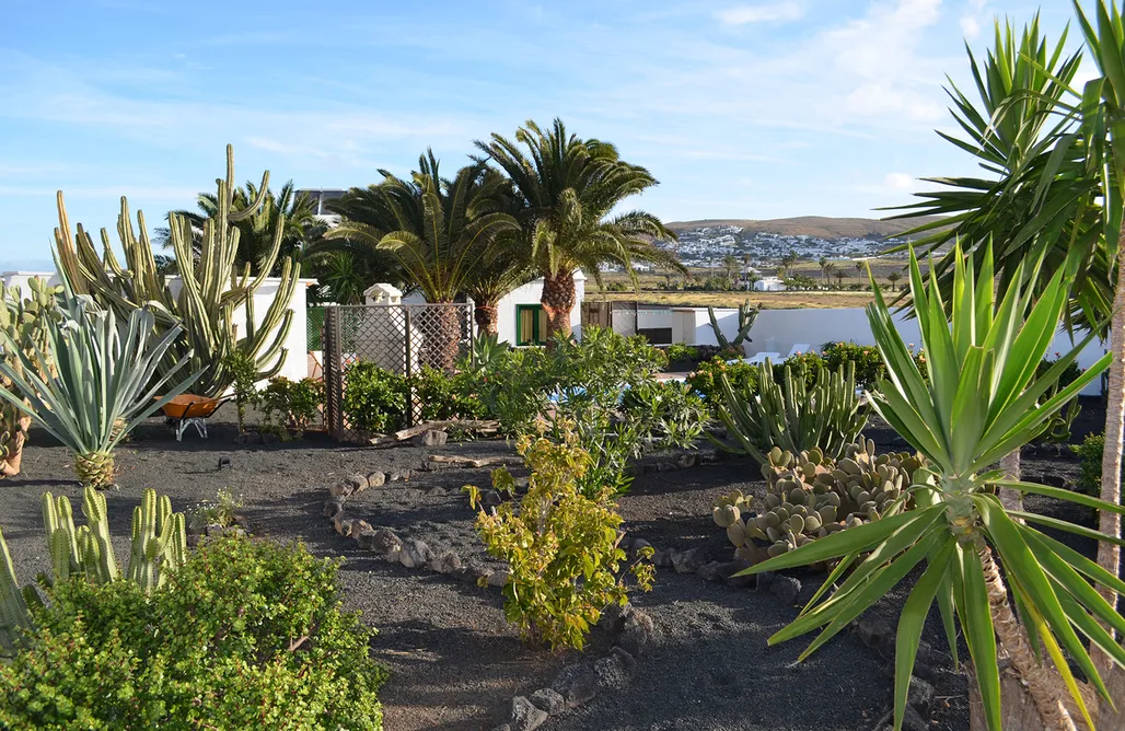 Casa terrera en Fuerteventura alquiler Casa del Erizo 3