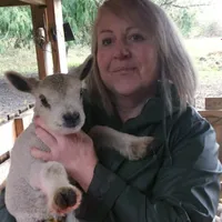 Le Chalet du Clos Giot host Le Chalet du Clos Giot