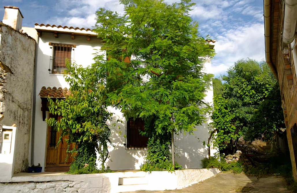 alojamientos AlohaCamp Casa Camilo 2