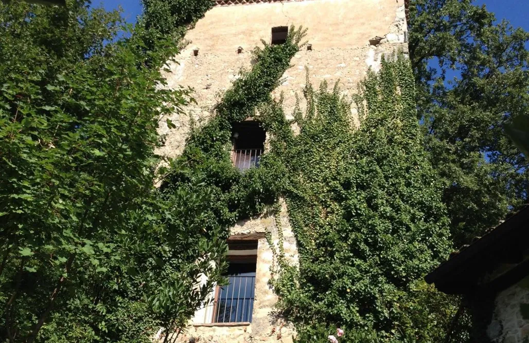 Alloggio AlohaCamp Borgo Fontanini 4