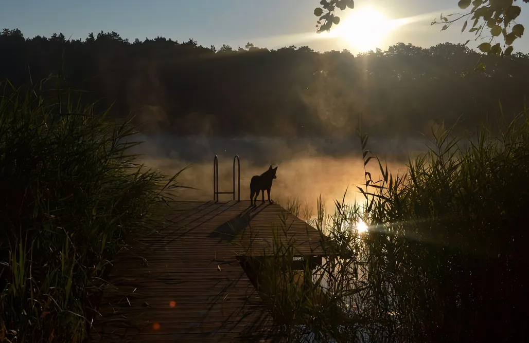 noclegi AlohaCamp Klępnica 51 1
