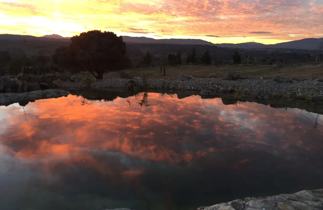 alojamientos AlohaCamp Finca El Enebro 1