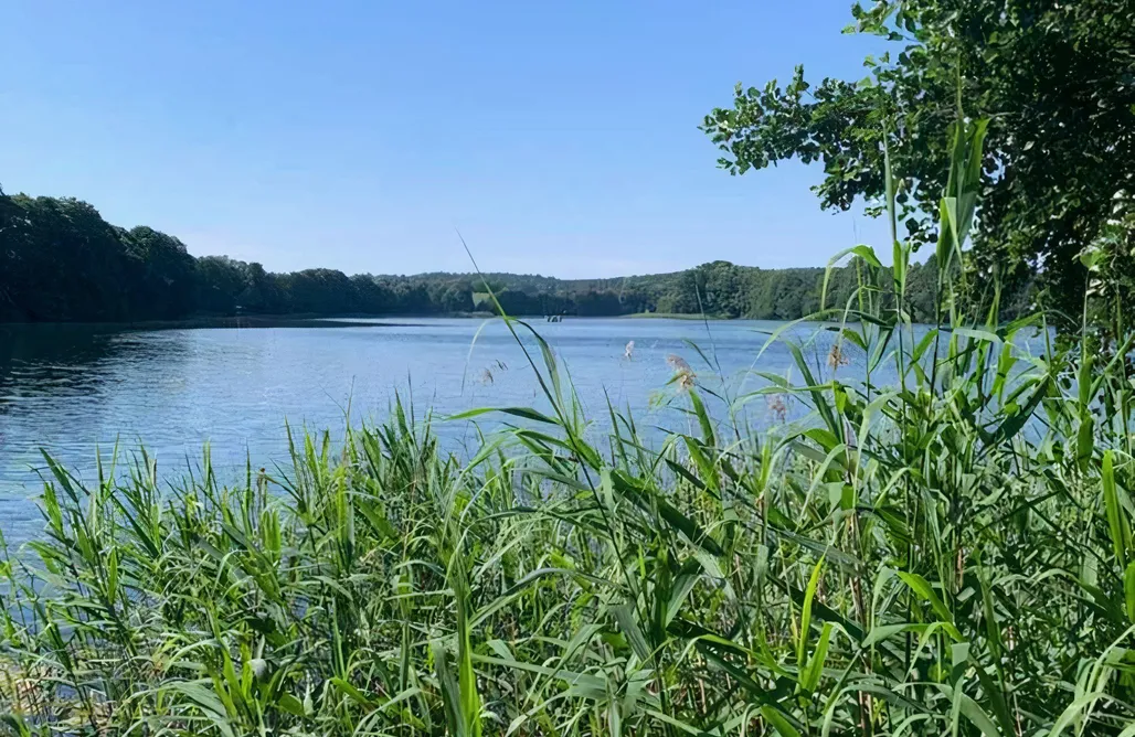 Unterkunft AlohaCamp Naturcamping Tipi/Jurte/Zelt/Glamping 5