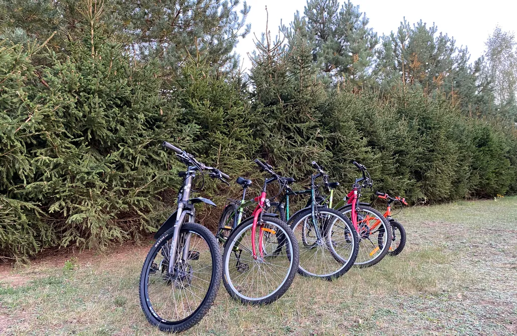 noclegi AlohaCamp Sosenkowe Zacisze - Ciche 1