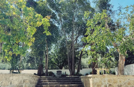 Imagen de Finca Genilla 