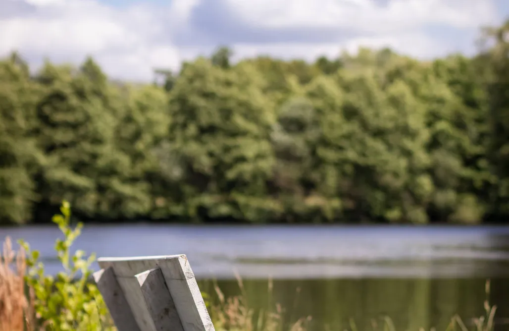 Unterkunft AlohaCamp Tiny House Frida 5