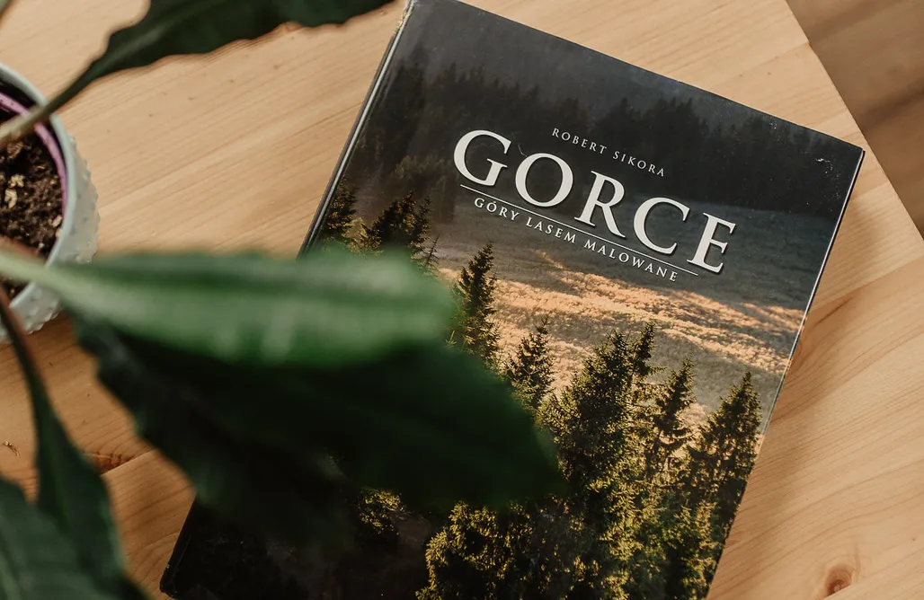 noclegi AlohaCamp Mizerna Cicha Apartment u stóp Gorców 1