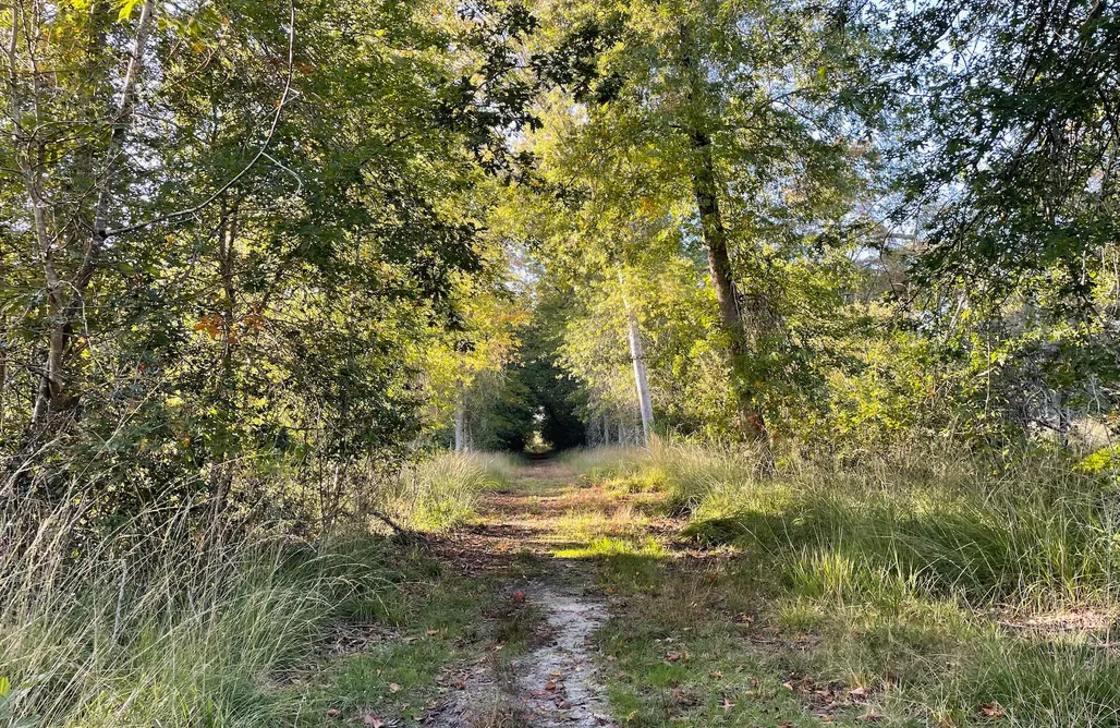 Alojamiento en Bolea Domaine forestier Darricau au bord du lac, 12 min de l'océan 1