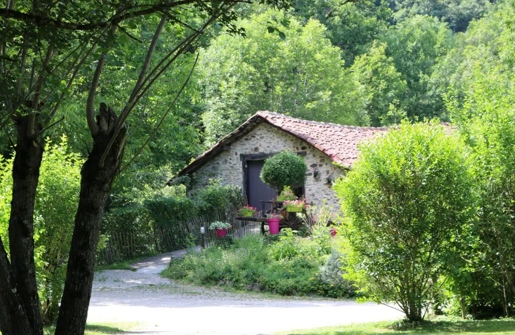 Meteor Shower 2026 💫 Camping Moulin De Chaules 2