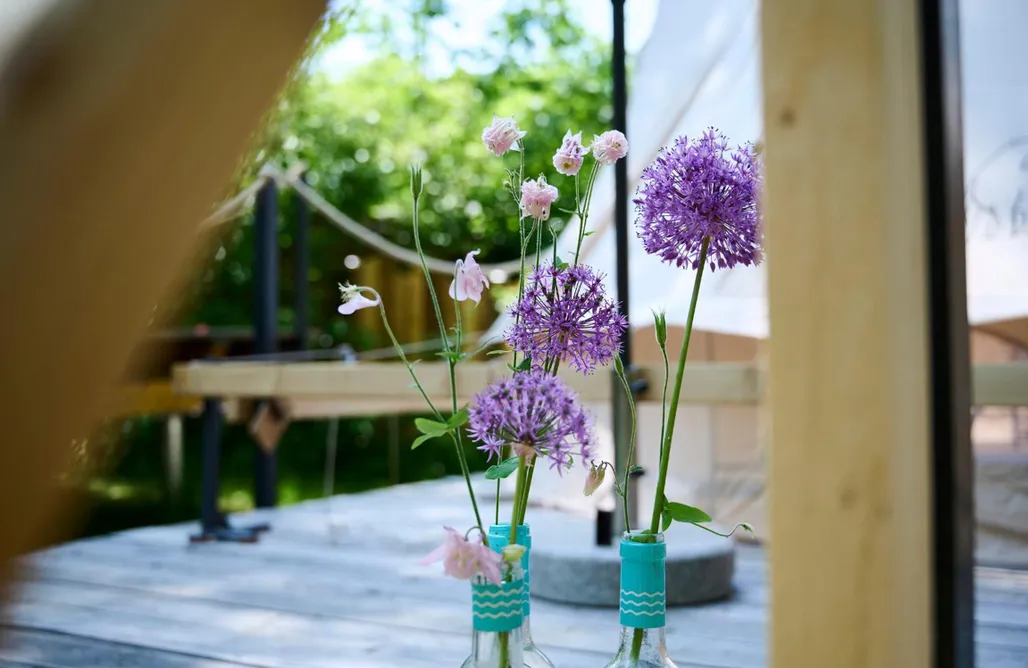 Hébergement AlohaCamp Tentes glamping au bain de forêt 4