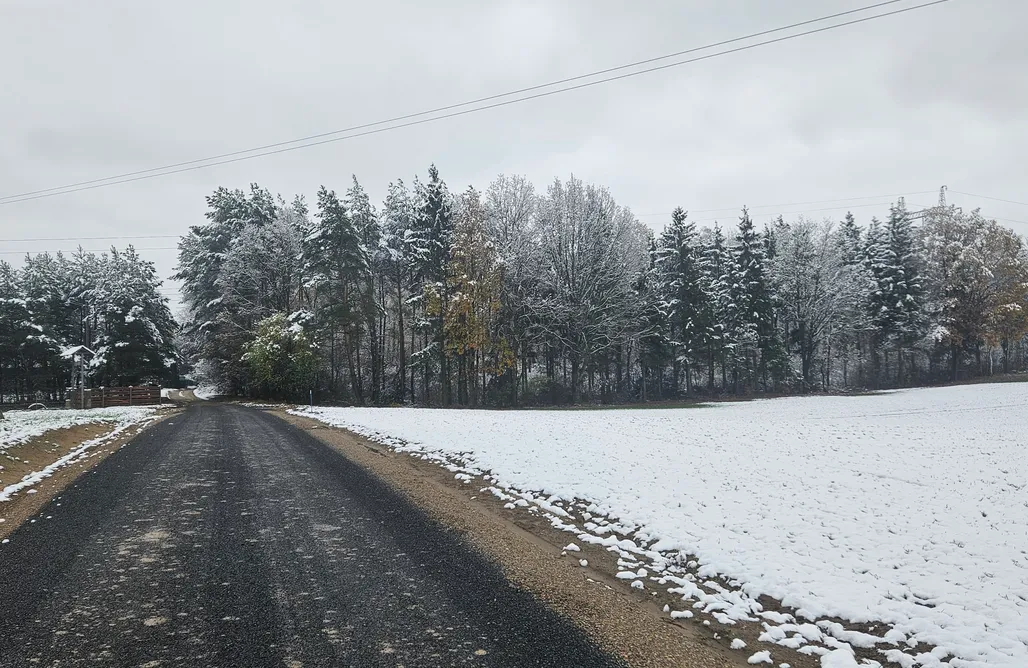 Glamping kujawsko-pomorskie Dom na skraju lasu Rypin 3