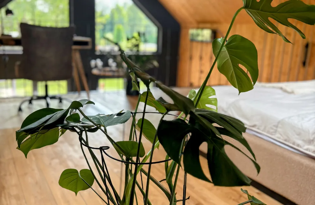 AlohaCamp Dom Jurajskie Ranczo 3