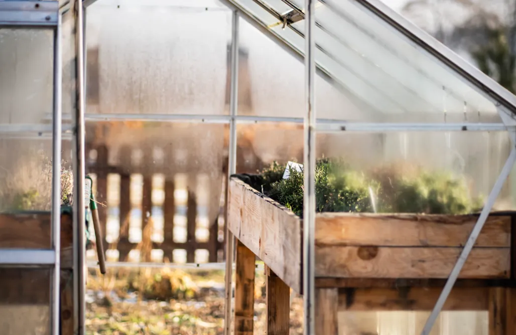 Dosłońce Resort Wellness & Farm AlohaCamp