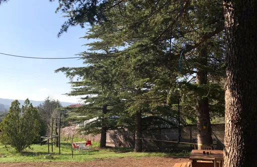 Imagen de Stone & Woods Guesthouse 
