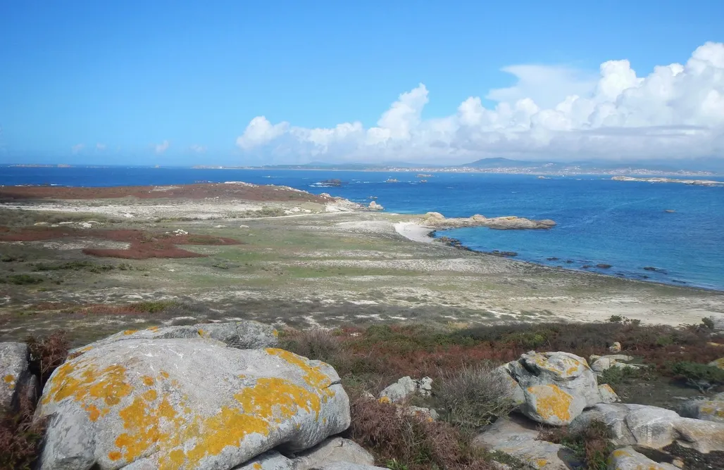 AlohaCamp Refugio en el Bosque 1