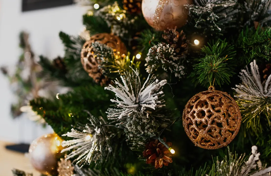 noclegi AlohaCamp Nase Chaty 1