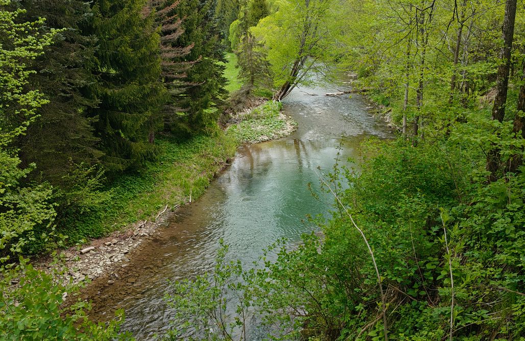 noclegi AlohaCamp Ostoja nad potokiem - Apartamenty 1