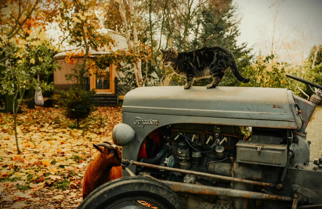 noclegi AlohaCamp Agroturystka Jurta w Zgodzie z Naturą 4