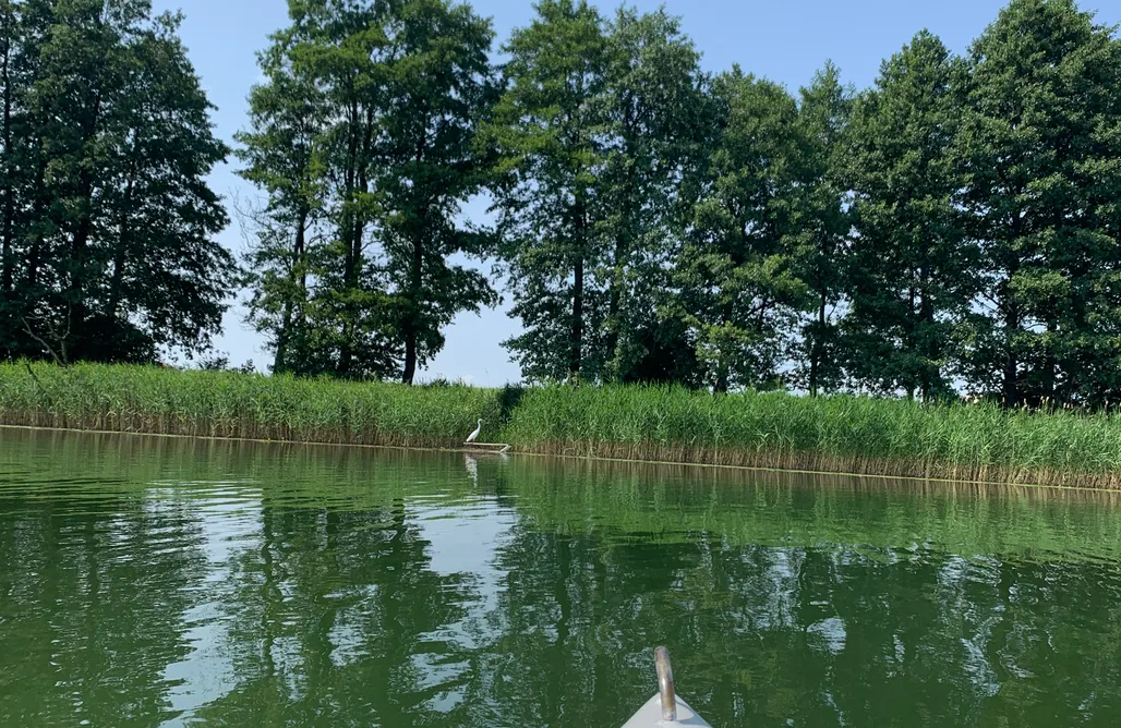 AlohaCamp Ublik Polana Szary 1