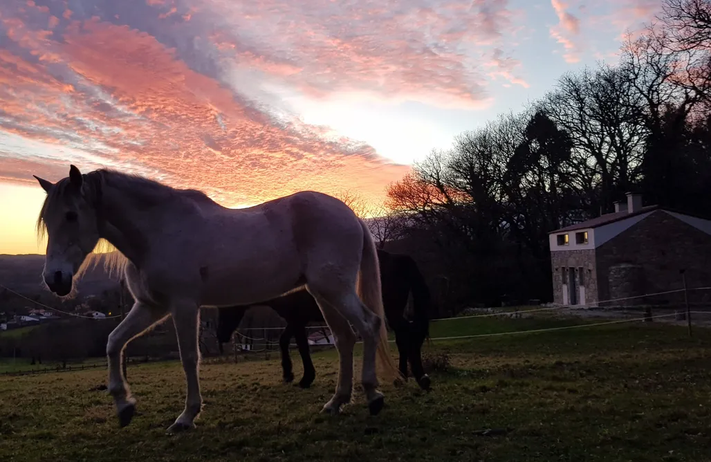 alojamientos AlohaCamp La Casa de la Pradera  1