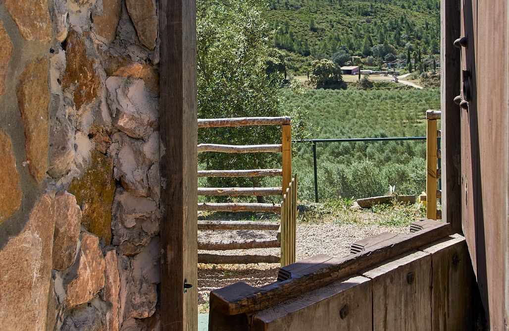 AlohaCamp Loft almendro 2